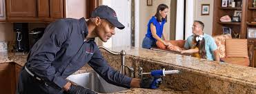 Best Pest Prevention Services  in Channel Lake, IL